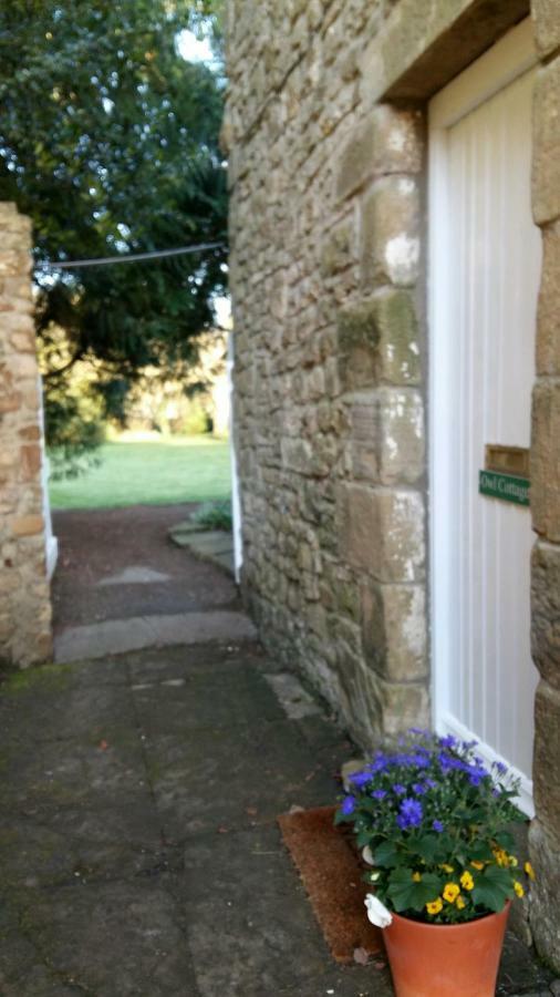 Owl Cottage Hexham Extérieur photo