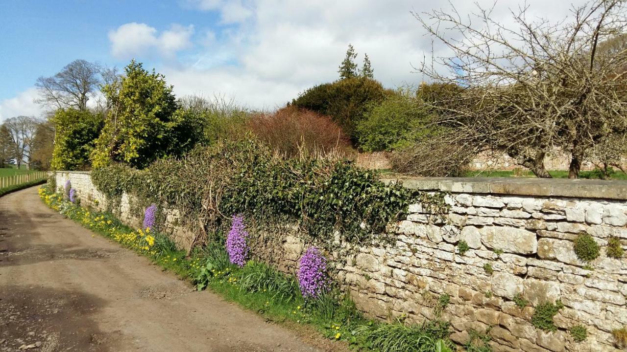 Owl Cottage Hexham Extérieur photo