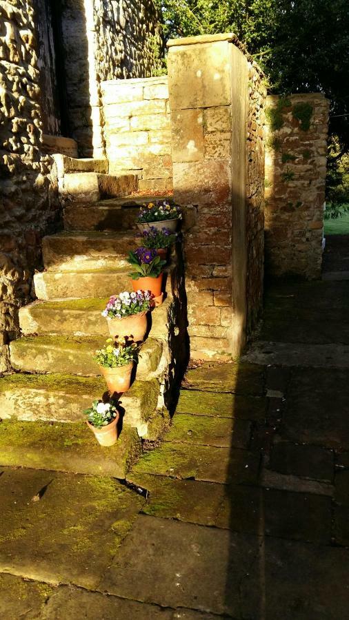 Owl Cottage Hexham Extérieur photo